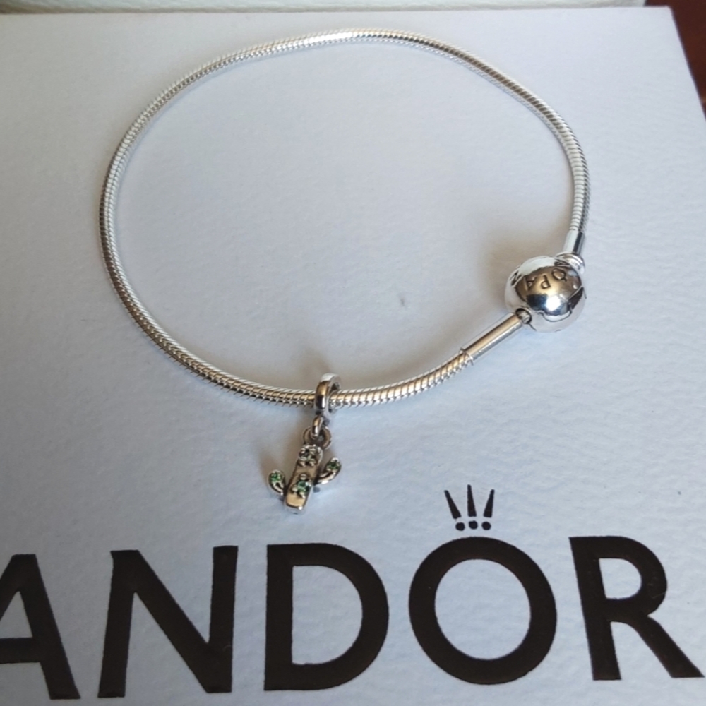 Pandora Me/Essence Silver Snake Bracelet w/Charm 598408C00 Size 17 (6.7 inches)